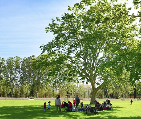 Captura de pantalla 2026 03 06 a las 14.27.58